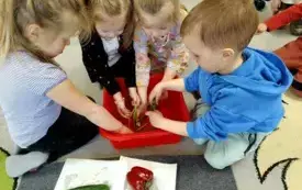 Tydzień kulinarny w "Pszcz&oacute;łkach" 37