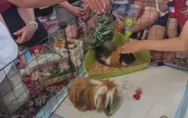 Żywa lekcja przyrody 5