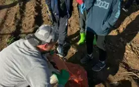 Klasy trzecie poznają pracę rolnika 11