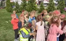 Dzień Zer&oacute;wkowicza 1