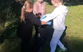 Sprzatanie Świata 2025 3