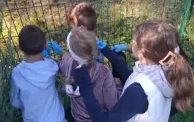 Sprzatanie Świata 2025 6