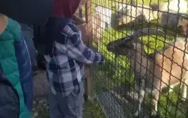 Wycieczka na "Farmę Mazurską" w Szarejkach 7