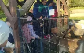 Wycieczka na "Farmę Mazurską" w Szarejkach 8