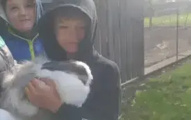 Wycieczka na "Farmę Mazurską" w Szarejkach 14