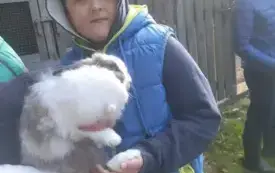 Wycieczka na "Farmę Mazurską" w Szarejkach 15