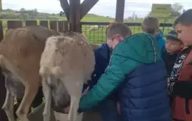 Wycieczka na "Farmę Mazurską" w Szarejkach 34