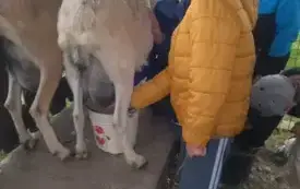Wycieczka na "Farmę Mazurską" w Szarejkach 36