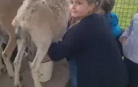 Wycieczka na "Farmę Mazurską" w Szarejkach 40