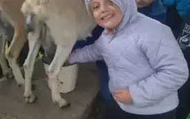 Wycieczka na "Farmę Mazurską" w Szarejkach 41