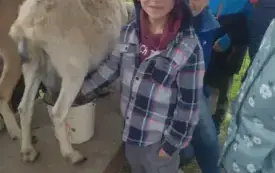 Wycieczka na "Farmę Mazurską" w Szarejkach 42