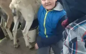 Wycieczka na "Farmę Mazurską" w Szarejkach 44