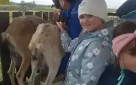 Wycieczka na "Farmę Mazurską" w Szarejkach 46