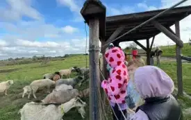 Wycieczka na "Farmę Mazurską" w Szarejkach 48