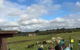 Wycieczka na "Farmę Mazurską" w Szarejkach 59