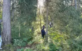 Sprzatanie Świata 2025 9