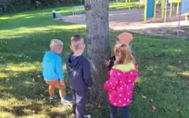 Przytul się do drzewa 5