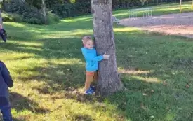 Przytul się do drzewa 7