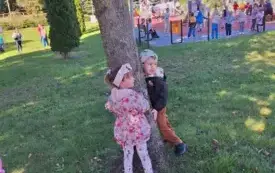 Przytul się do drzewa 8