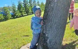 Przytul się do drzewa 11