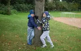 Przytul się do drzewa 14