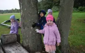 Przytul się do drzewa 16