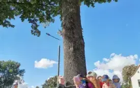 Przytul się do drzewa 20