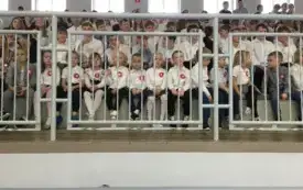Ńarodowe Święto Niepodległości 28