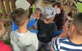 1 a na Farmie Mazurskiej 8