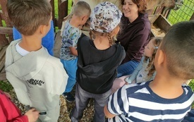 1 a na Farmie Mazurskiej 9