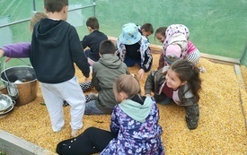 Klasa II a na "Farmie Milimali" 38