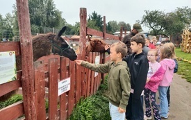 Klasa II a na "Farmie Milimali" 104