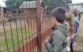 Klasa II a na "Farmie Milimali" 112