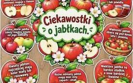 Dzień jabłka - 1 b 2