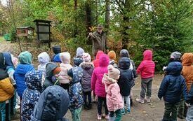 Spacer edukacyjny po lesie 1
