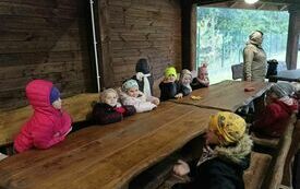Spacer edukacyjny po lesie 2