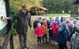 Spacer edukacyjny po lesie 7