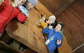 Spacer edukacyjny po lesie 10