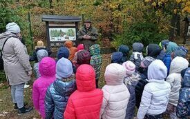 Spacer edukacyjny po lesie 14