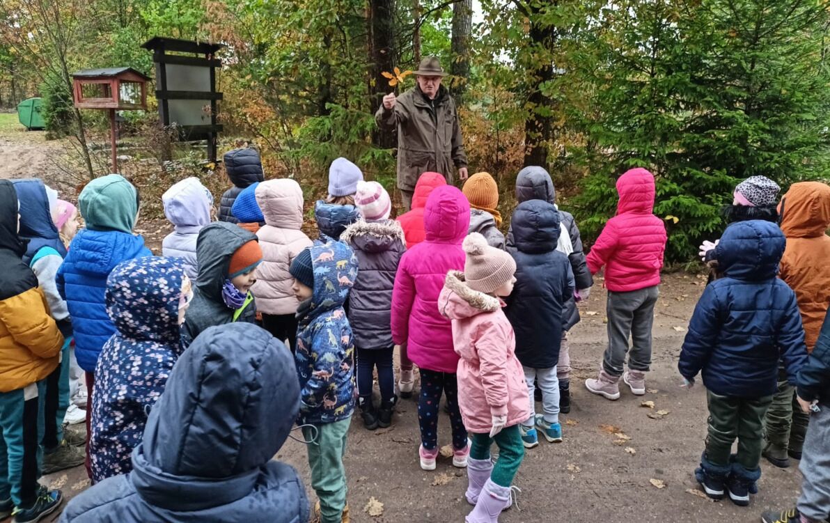 Zdjęcie do Spacer edukacyjny po lesie