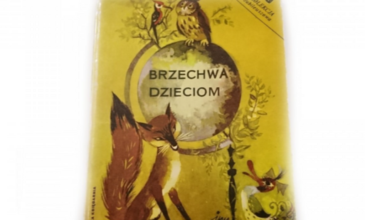 dekoracja konkursowa