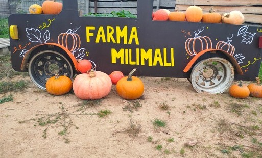 logo firmy Milimali