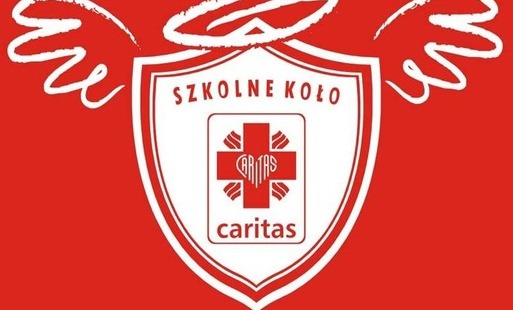 logo szkolnego koła wolontariatu