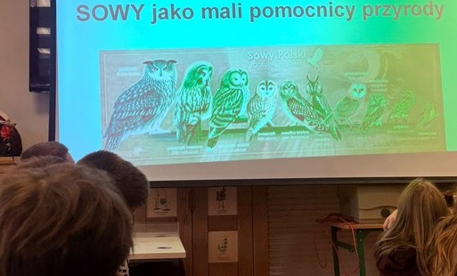 projekcja filmu