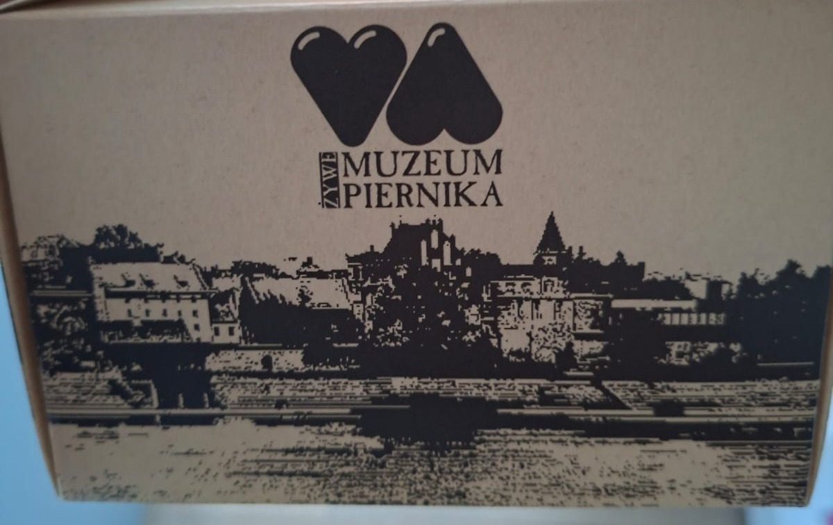 Zdjęcie do Wycieczka do Torunia